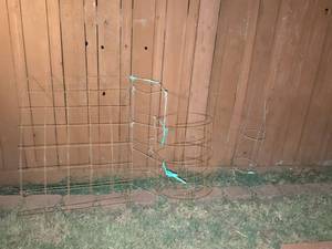 lot 888 image: Garden Plant Support Cages and Trellises Lot 5 Pieces