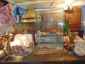 lot 3393 image: Small Glass Display Case and Contents
