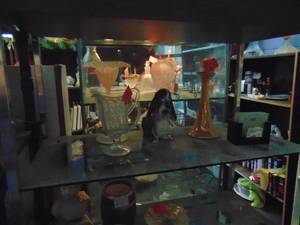 lot 3415 image: Contents of Shelf - Droopy Dog