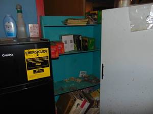 lot 3486 image: Blue Plywood Shelf  - and Contents - Needs Cleaned - you can take it all