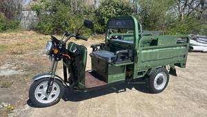 lot 72006 image: IRET13-GREEN ELECTRIC TRICYCLE (Green)