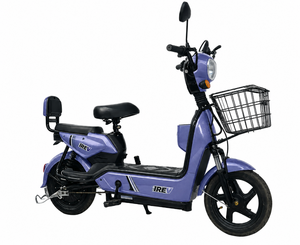 lot 77052 image: SDL  Red 48V Electric Motorcycle  (IREV-PURPLE)