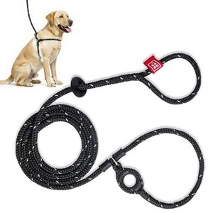 lot 423 image: Harness Lead Escape-Resistant, Reduces Pull, Black, ML