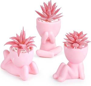 lot 21625 image: Der Rose 3 Pack Fake Succulents in Pink Human Pots for Desk Decor