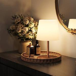 lot 21704 image: EZVALO Shower Lamp, IP65 Waterproof Rechargeable Mood Light, 3 Color Temps