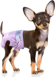 lot 21720 image: Disposable Dog Diapers Female, Absorbent Dog Diaper XS 20pcs