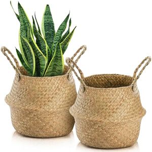 lot 21856 image: Yesland 2 Pack Woven Seagrass Plant Basket with Handles (L)