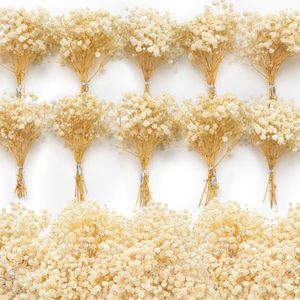 lot 21892 image: 6500 Mini Dried Babys Breath Flowers, 6 Natural Ivory White Flowers