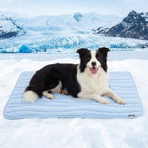 lot 21948 image: ZOMISIA Cooling Mat for Extra Large Dogs XL - Thin Non-Slip 44x32, Blue