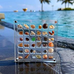 lot 20070 image: Prowalk Acrylic Magnetic Seashell Display Box,3664100 Grids Transparent Acrylic Seashell Display Box,Seashell Storage Box, Diamond Gemstone Beads Storage Display Organizer Box (36 Girds, Square)