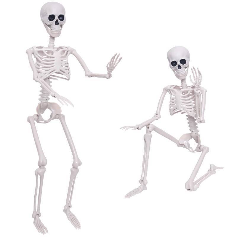 lot 14600 image: 3Ft Halloween Skeleton and 16In Life Size Skeleton Creepy Posable Skeleton Full Size Skeleton with Movable Joints for Outdoor Indoor Halloween Decorations Teacher Science Middle School High School - Retail $40