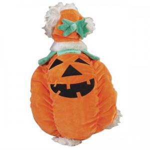 lot 18088 image: Pumpkin Pooch Dog Costume, Small, Orange - Retail $24