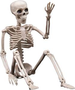 lot 18184 image: Halloween Skeleton Decorations - 16inch Plastic Full Body Posable Skeleton, Small Hanging Skeleton for Indoor Outdoor Halloween Decor (broken feet) - Retail $7