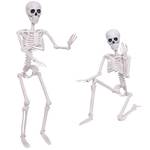 3Ft Halloween Skeleton and 16In Life Size Skeleton Creepy Posable Skeleton Full Size Skeleton with Movable Joints for Outdoor Indoor Halloween Decorations Teacher Science Middle School High School - Retail: $40