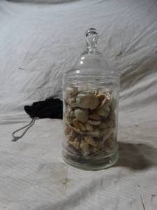 lot 36067 image: Decorative jar with lid - filled with sea shells