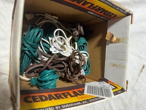 lot 36234 image: Lot of 10  Extension Cords.