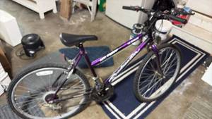 lot 52392 image: MTR Fury 10 Speed Road Bike