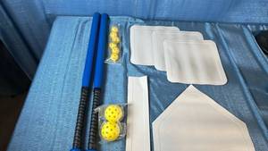 lot 2023 image: Waffle Ball set with bases.