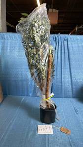 lot 3030 image: Artificial Olive Tree 180cm6FT Kunstliche Pflanzen