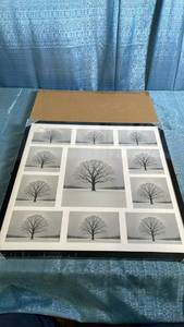 lot 3034 image: 21x21 Collage Picture Frame