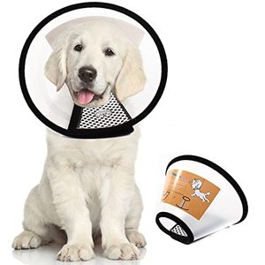 lot 2941 image: Plastic Pet Recovery Collars & Cones for Dogs & Cats After Surgery E-Collar S