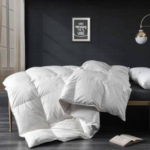 lot 3033 image: APSMILE All-Season Down Comforter King Duvet Insert 100% Organic Cotton