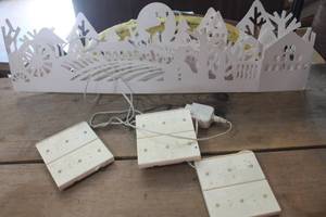 lot 3611 image: Light up Christmas Dcor untested