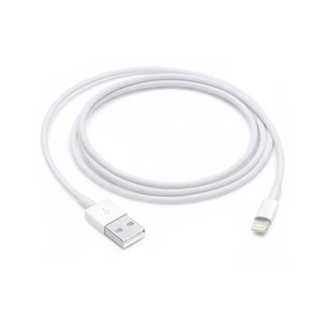 lot 40430 image: Apple Lightning to USB Cable (1m)