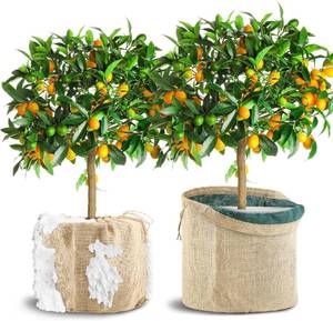 lot 48058 image: 2 Pcs Winter Plant Covers for Pot, 13.7 X 15.7 Burlap Plant Freeze Protection Cover for Flower Pot, Outdoor Pot Covers for Winter with Drawstring, Potted Plant Covers for Plants (13.7Dx15.7H (S))