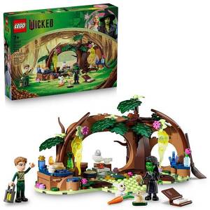 lot 19907 image: LEGO Wicked Elphabas Retreat Building Set 75687