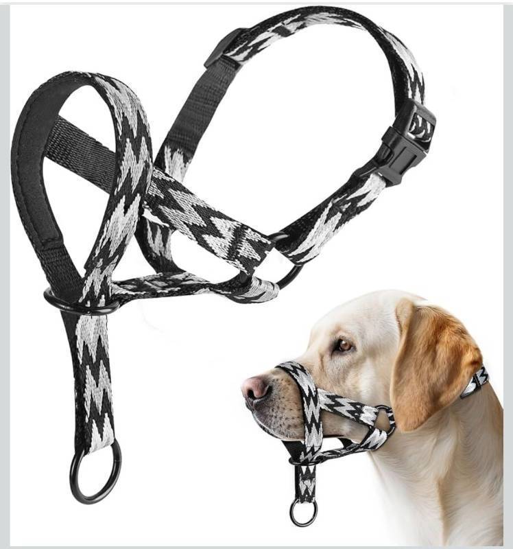 lot 17117 image: Gentle Dog Head Collar, No Pull Padded Halter for Walking, Fashionable Stripes Training Muzzle for Small Dogs - Retail $14