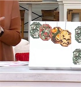 lot 576 image: HomeWorx by Slatkin  Co. BS6 Holiday Spice Hanging Air Fresheners