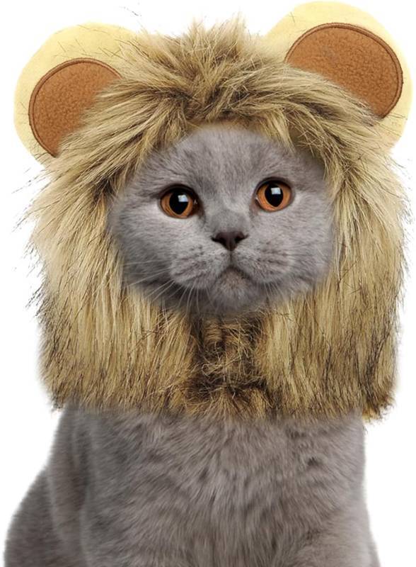 lot 67484 image: Lion Mane for Cat Small Dog, Halloween Cat Costume Lion Mane, Wig Lion King Hat Cosplay, Kitten Outfit for Halloween Holiday Party Activity