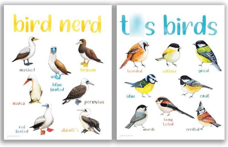 lot 67571 image: Nice Tits Bird Poster Set of 2 (8X10), Fowl Language Wall Art Inspirational Cancer Art Print Encouragement Gift for Cancer Survivors, Bird Lovers