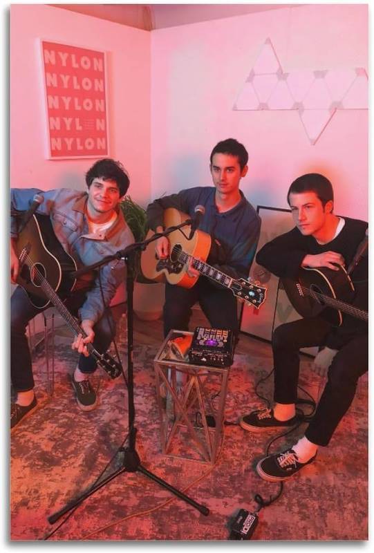 lot 67593 image: YNTNDYGV Wallows Poster Rock Music Vintage Poster Decorative Painting Canvas Wall Posters and Art Picture Print Modern Family Bedroom Decor Posters 12x18inch(30x45cm)