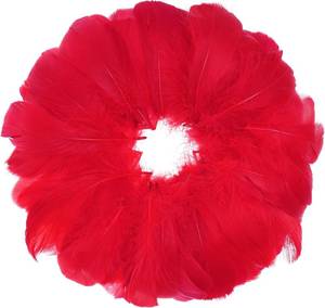 lot 67925 image: obmwang 100 Pieces 8-12cm Natural Goose Feathers for DIY Craft Wedding Party Home Decorations, Red