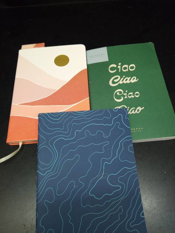 lot 1108 image: Notebook Collective 120pg Ruled Notebooks 5.75x8.25 Green Ciao Blue Waves and a Hard back Rustic color College Ruled Journals, 2 Soft Cover, Sewn Binding  - Retail $20