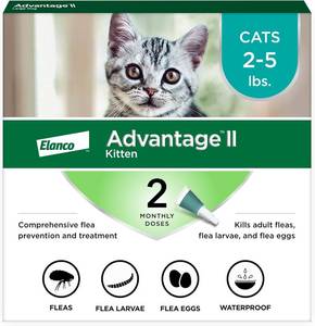 lot 3158 image: Advantage II Kitten Flea Treatment & Prevention  Cats 2-5 lb  2-Mo. Supply
