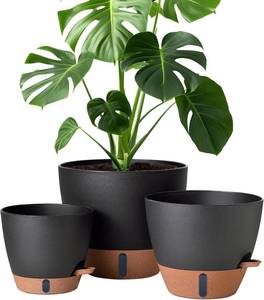 lot 3207 image: montresor Self-Watering Pots 12108 Inch for Plants with Water Window  Missing 1 base 