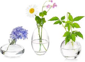 lot 1020 image: Glass Bud Vases Set of 3, Hewory Cute Clear Small Vases Handmade, Mini Glass Flower Vase for Floral Arrangement, Tiny Centerpiece for Wedding Party Events Home Office Table Decor (Not Include Flower)