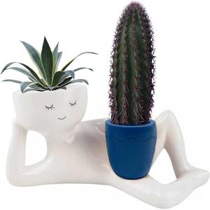 lot 2441 image: Bivpreom Funny Plant Pots with Drainage Hole��Resin Unique Planters Lying Down Figure��Face Planter Pot for Succulents Cactus
