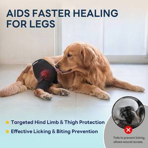 lot 2453 image: Dog Rear Leg Sleeve to Stop Licking, Upgraded Hind Leg Cover to Stop Slipping, for TPLO Surgery, Skin Conditions, Wounds, Breathable Soft Fabric, Dog Cone Alternative, Left,M,Black