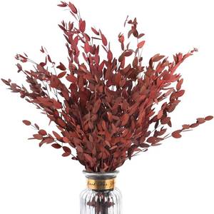 lot 2472 image: Eucalyptus Stems Preserved Dried Eucalyptus Fall Stems Decoration,20Pcs-Red