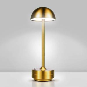 lot 5690 image: LNPYX Cordless LED Table Lamp Rechargeable Table Lights Outdoor Gold
