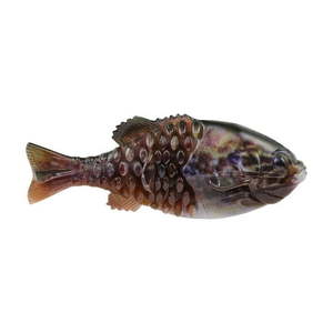 lot 14370 image: Berkley PowerBait� Gilly Soft Bait - HD Warmouth 6 Ct.