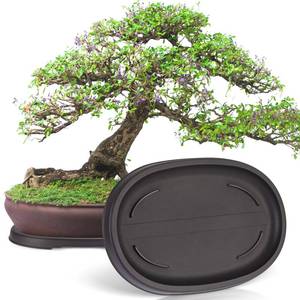 lot 19401 image: Pinkunn 2 Pcs Bonsai Humidity Drip Tray for Plants,12.7 x 8.3 Inch