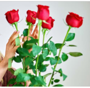 lot 8252 image: SelHeng 5-Pack Collapsible Rose Magic Tricks - Instant Flower Appearance Illusion for Close-Up Magic Shows, Street Performances and Party Pranks  Flexible Alloy Petals (Crimson Red) - Stock image is different from actual product image