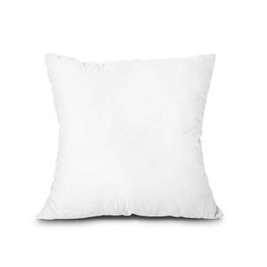 lot 2434 image: EDOW Throw Pillow Insert, Lightweight��Soft Polyester Down Alternative Decorative Pillow, Sham Stuffer, Machine Washable. (White, 18x18)