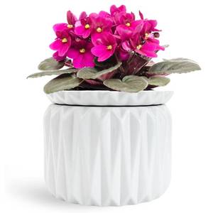 lot 3833 image: Thriving Thicket 6 Inch African Violet Pots Self Watering, Ceramic Planter with Water Reservoir and Fill Lines, 4 Inch Opening, Indoor Flower Pot, Holds 3 Weeks of Water (1 Pack)