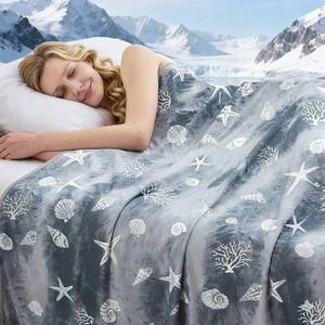 lot 4502 image: PFASDFW Cooling Blanket Throw Size (50x70), Double Sided Ice Cold Blanket for Hot Sleepers, Transfer Heat to Keep Cool, Soft Lightweight for Night Sweats, Bed & Couch, Ocean Design